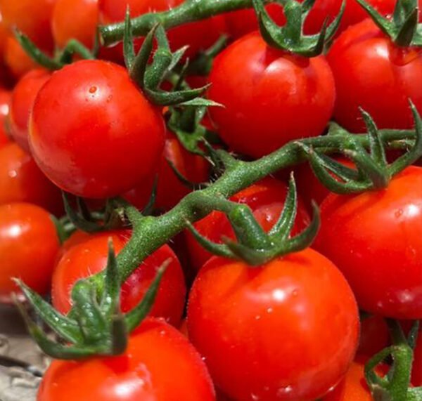 Cherry Tomatoes