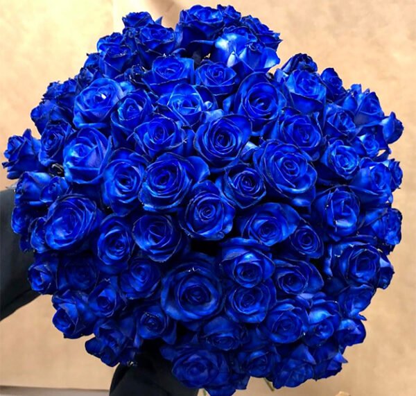 Blue Rose