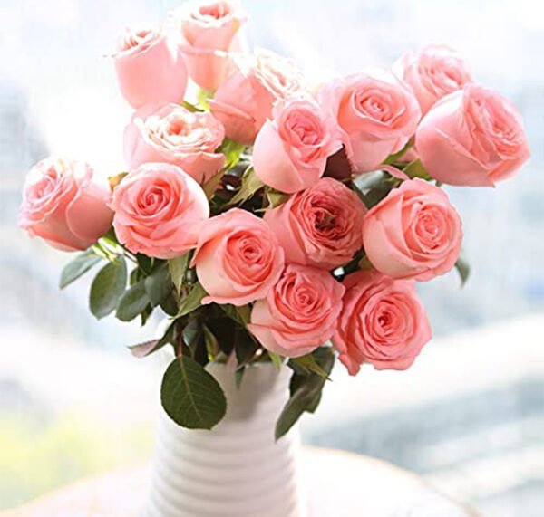 Pink Rose