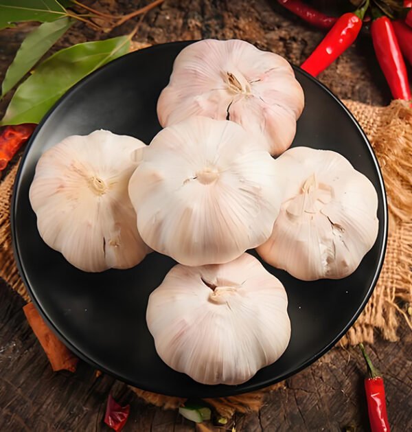Garlic
