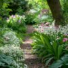 lily of the valley