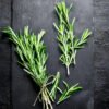 Rosemary