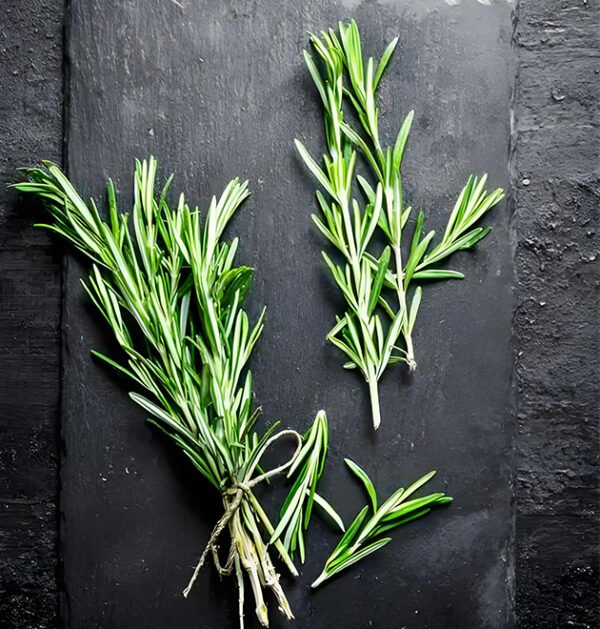 Rosemary