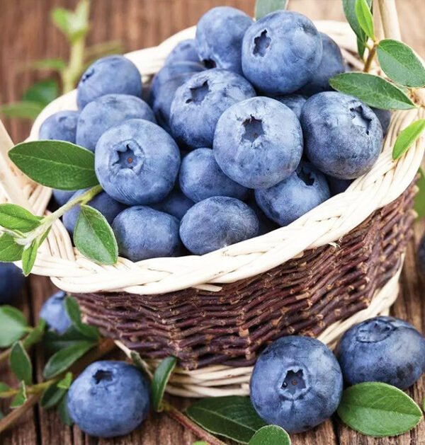 Blueberry