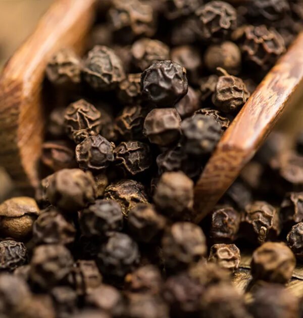 Black Pepper