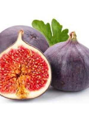 Fig