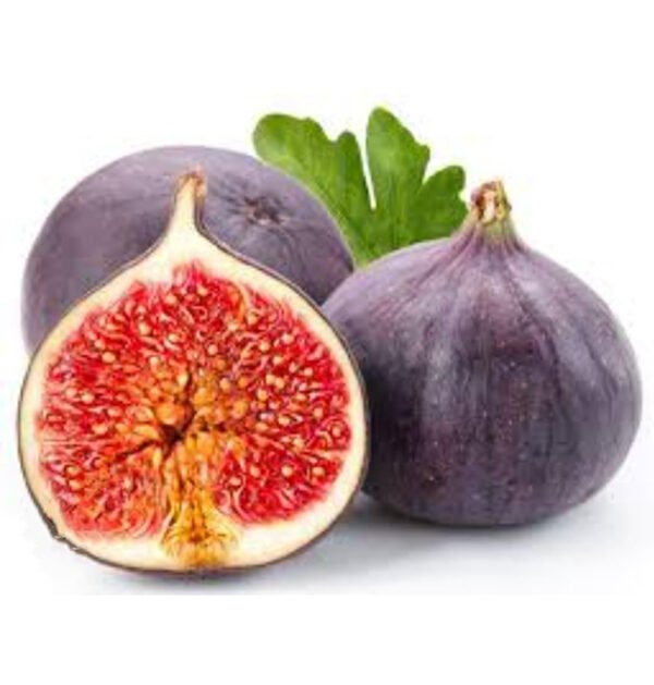 Fig