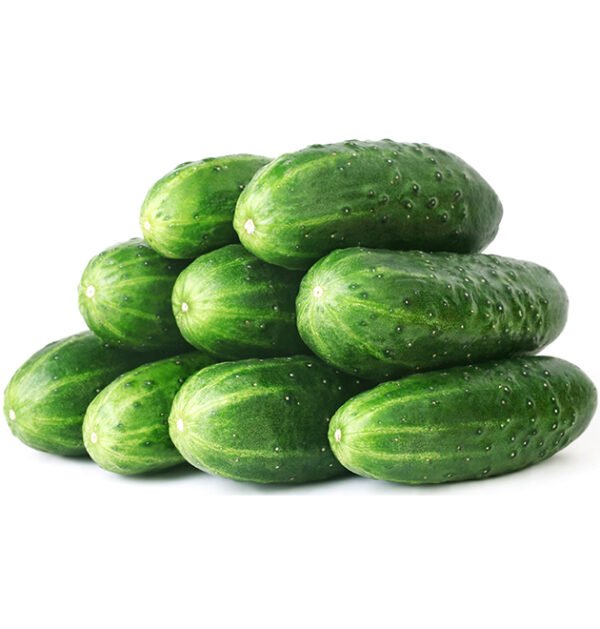 Cucumber
