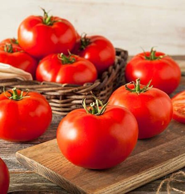 Tomato