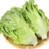 lettuce