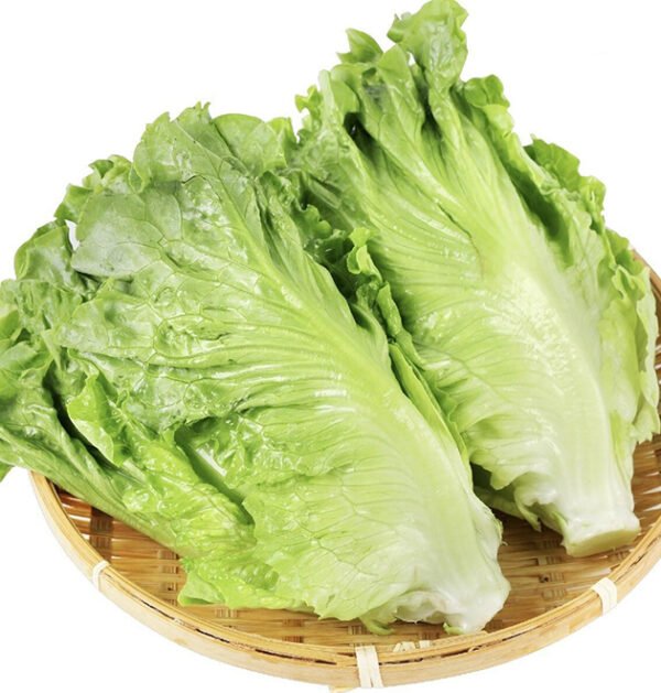 lettuce