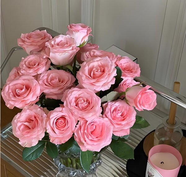 Pink Rose
