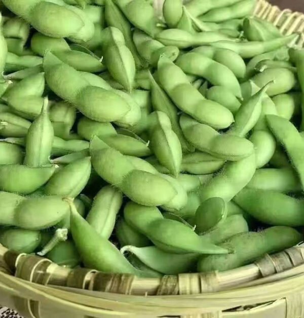Edamame