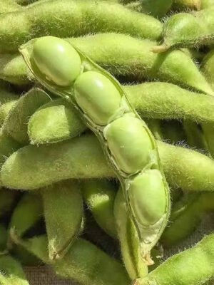 Edamame