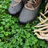 Clover