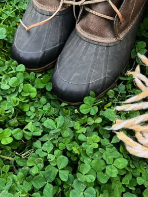 Clover