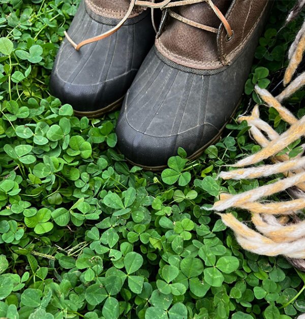 Clover