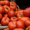 Tomato