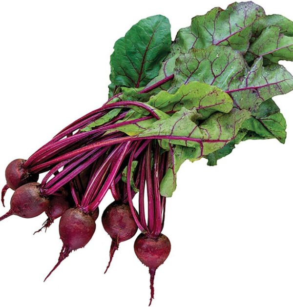 Beet