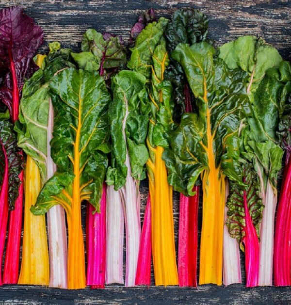 Swiss Chard