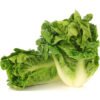lettuce
