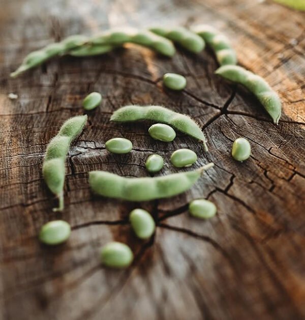 Edamame