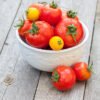 Tomato