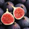Fig