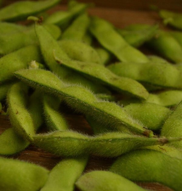 Edamame
