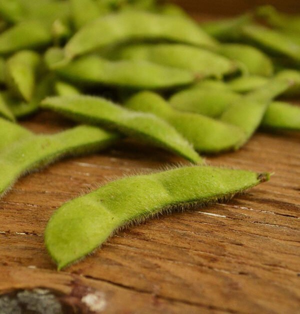 Edamame