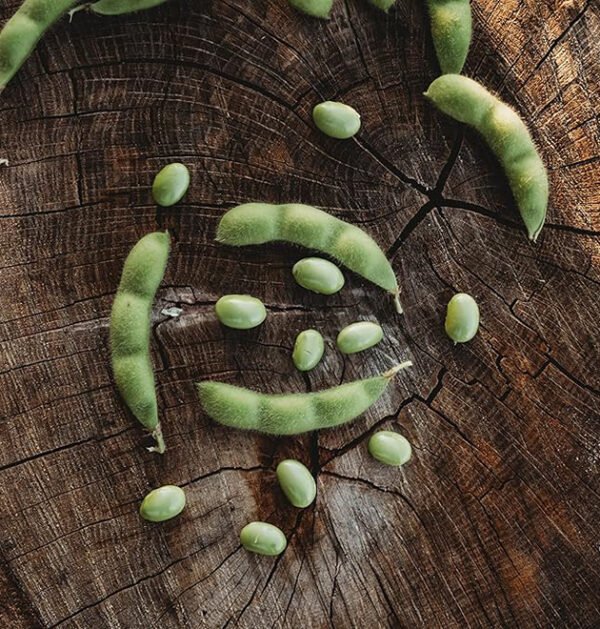 Edamame