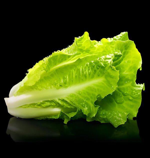 lettuce