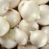 Onion