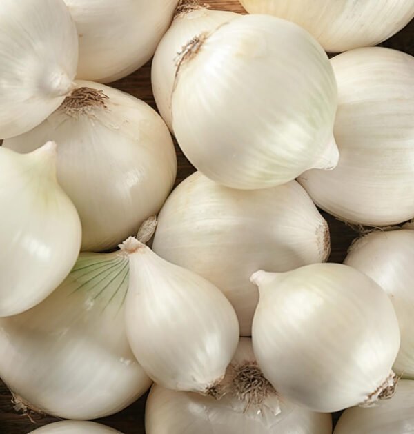 Onion