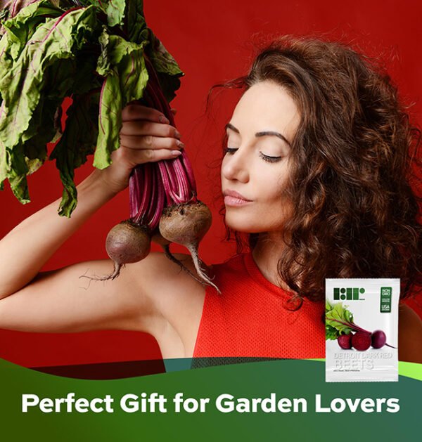 Beet