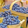 Grape