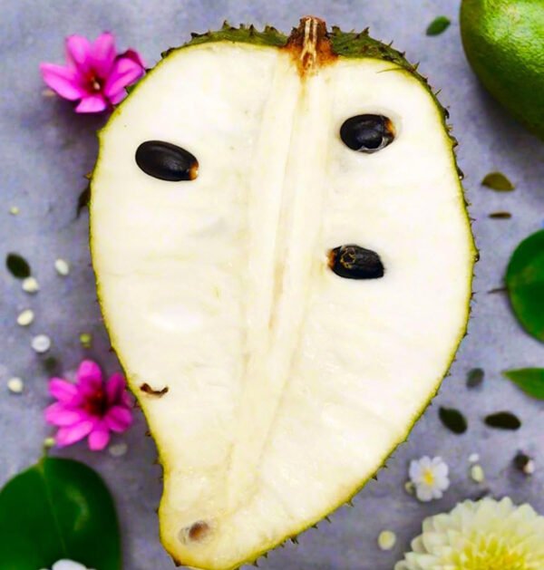 Soursop