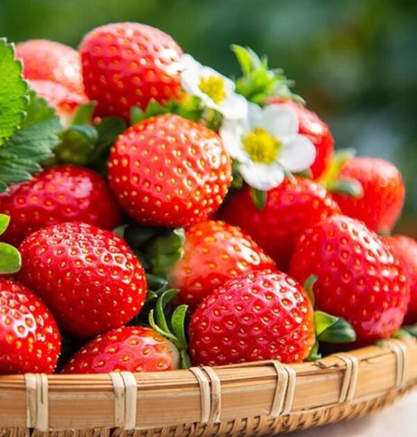 Strawberry
